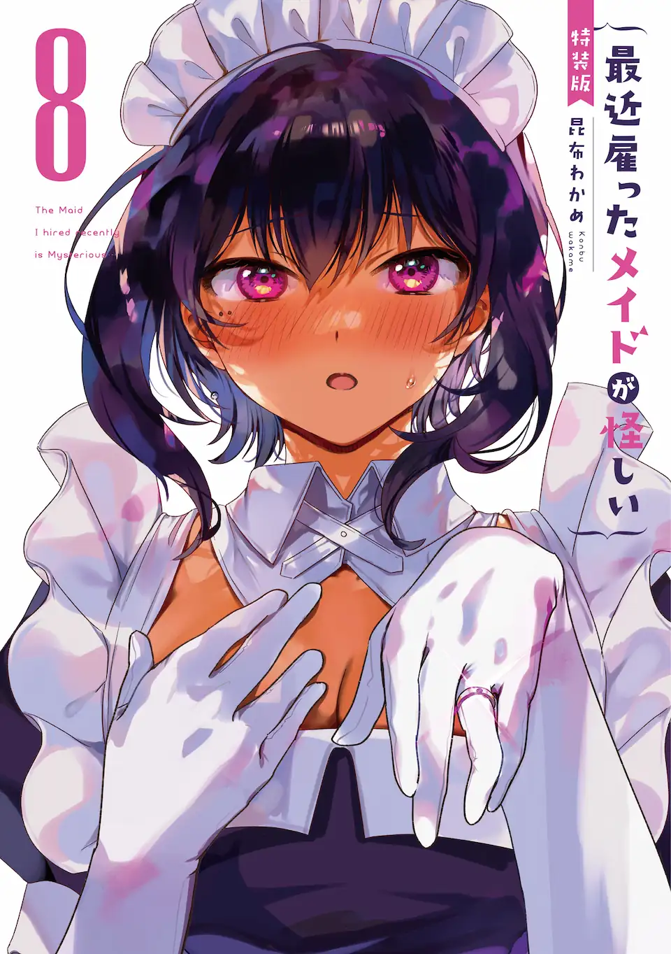 My Recently Hired Maid Is Suspicious (Serialization)